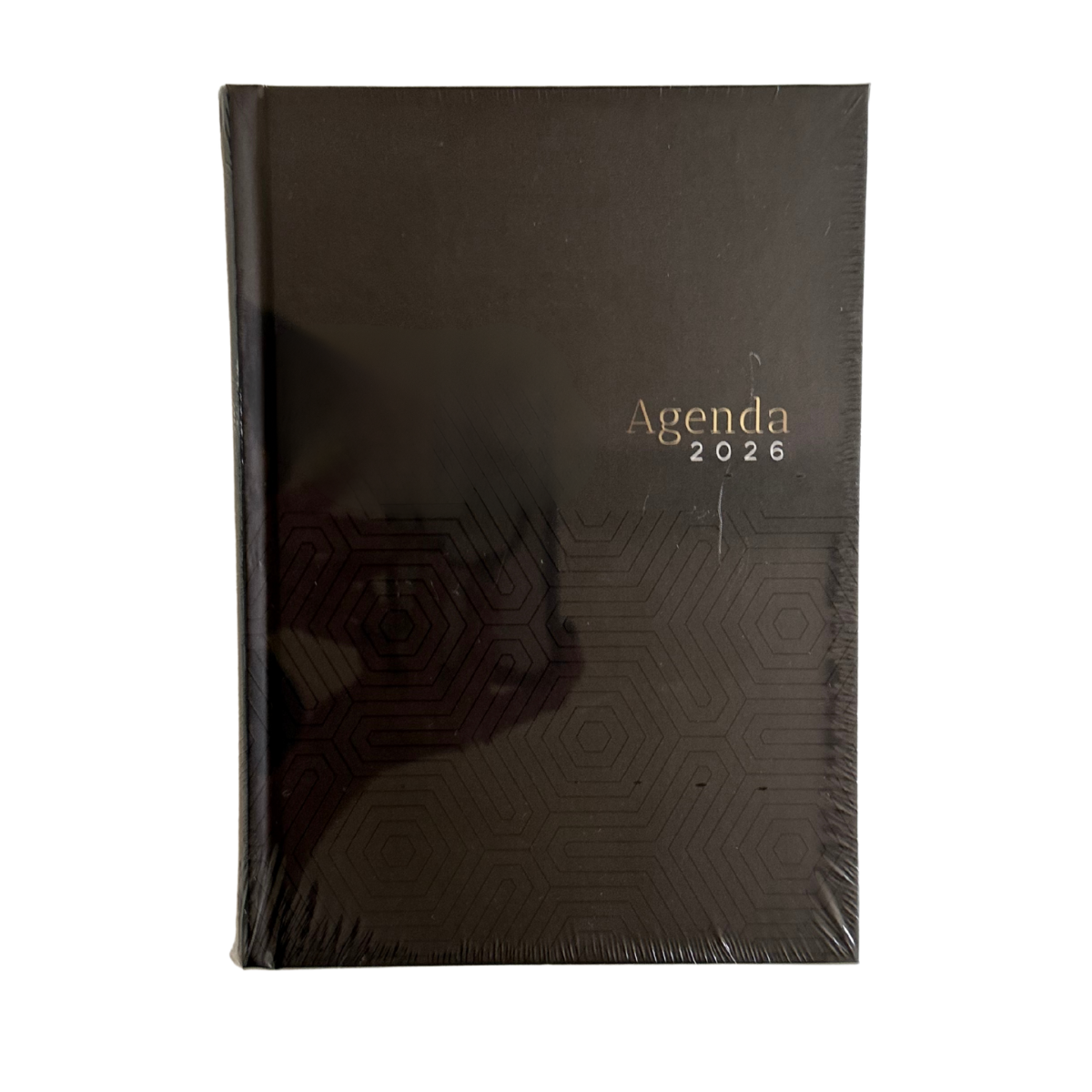 Agendas Profesionales 2026