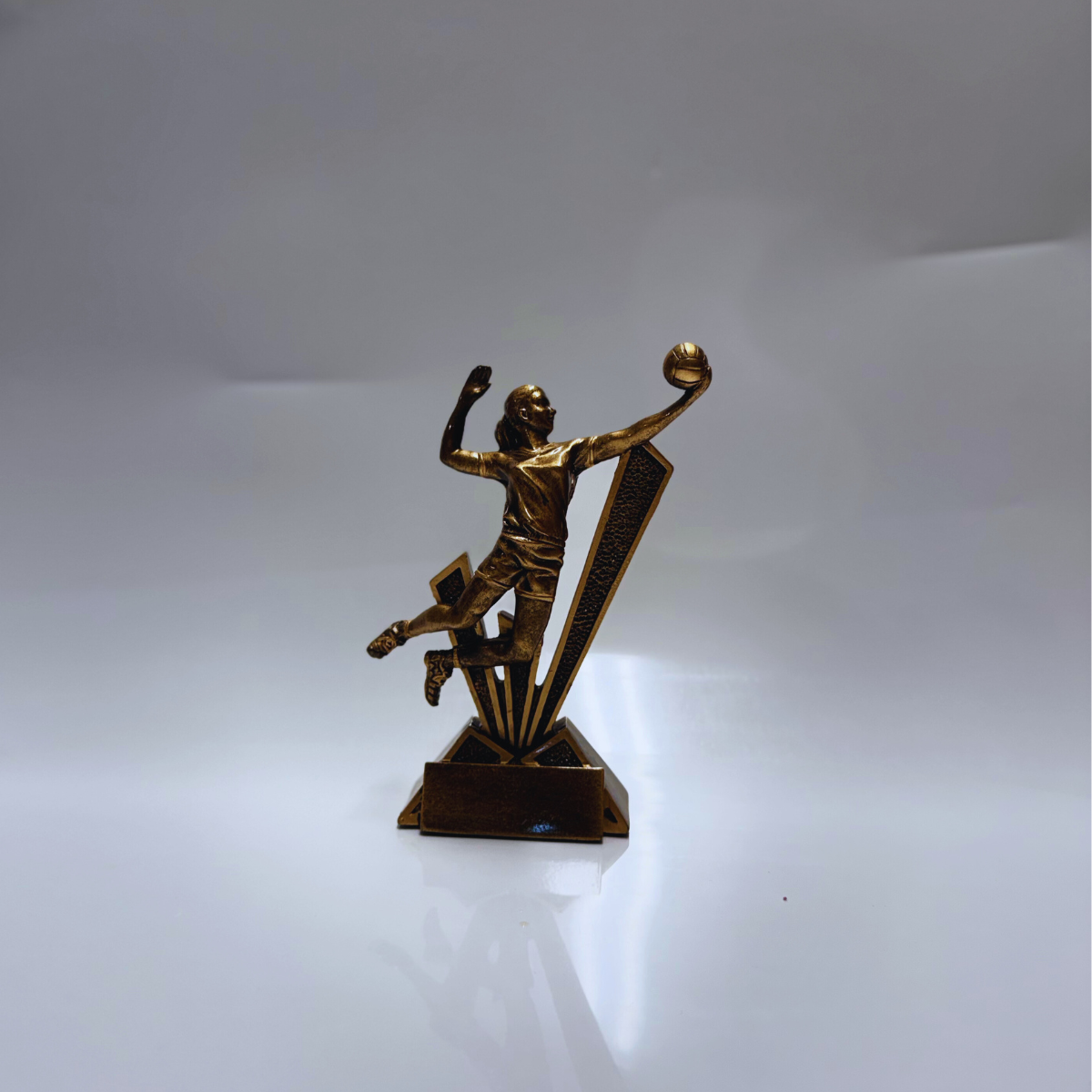 Trofeo Volleyball Femenina