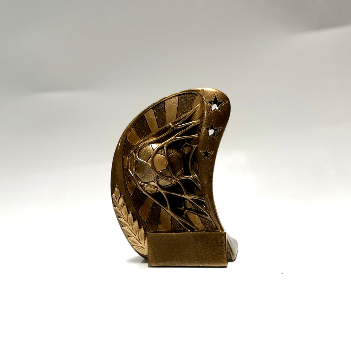 Trofeo Media Luna Deportes